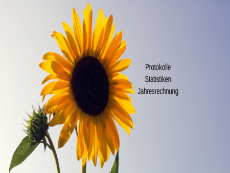 Protokolle/Statistik/Jahresrechnung