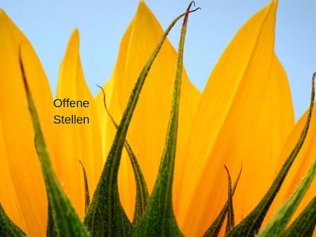 Offene Stellen