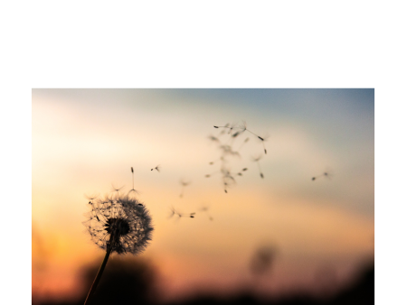 Trauerfeier Trudy Krucker-Mattle