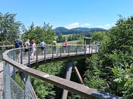 Neues von +60